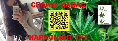 PSILOCYBIN Рузаевка