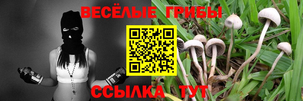 Тайшет  Галлюциногенные грибы мухоморы  Вход с VPN 